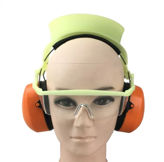 Ear Muff Eye & Ear Protection